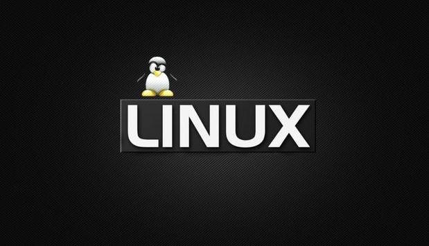 a(chn)Linuxϵy(tng)w(yn)ԲWindowsݔ@c(din)