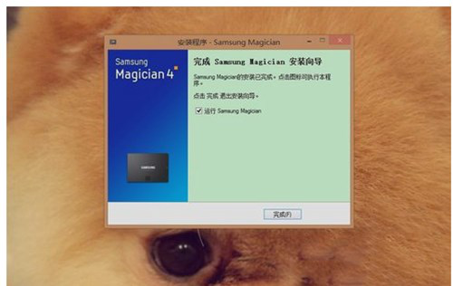 ɼСP(gun)÷B