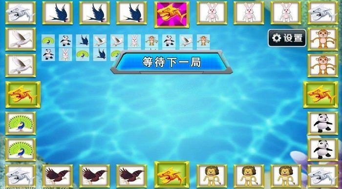 y淨