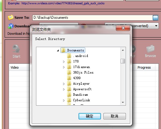 XVideos Video Downloaderʹý̌W