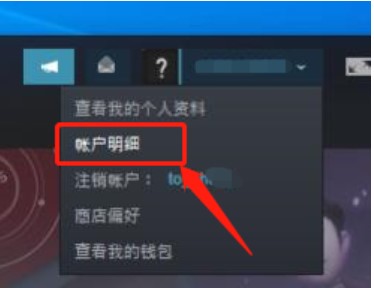 Dsteam