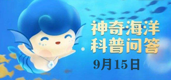 溣մ9.15һ£ؐ“”ĵԴʲô