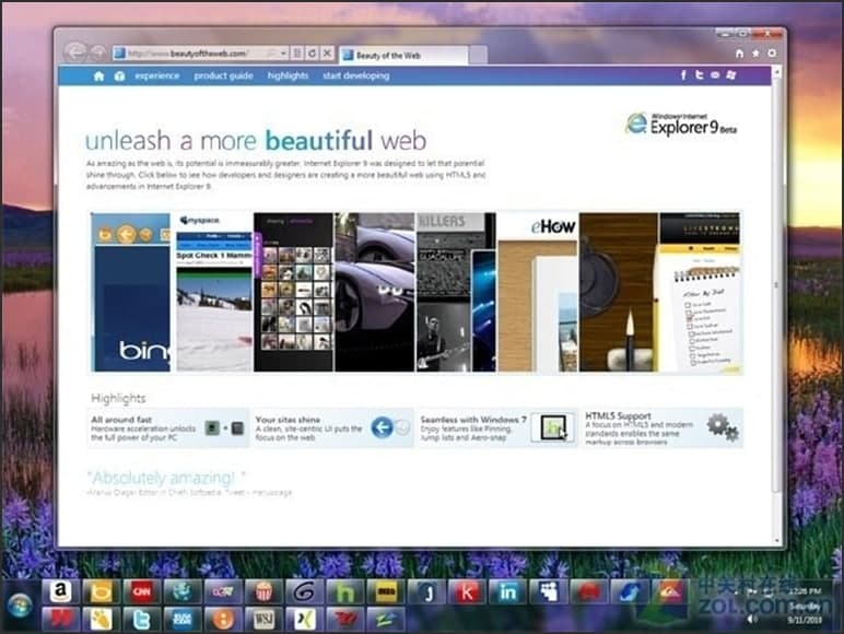 DInternetExplorer9
