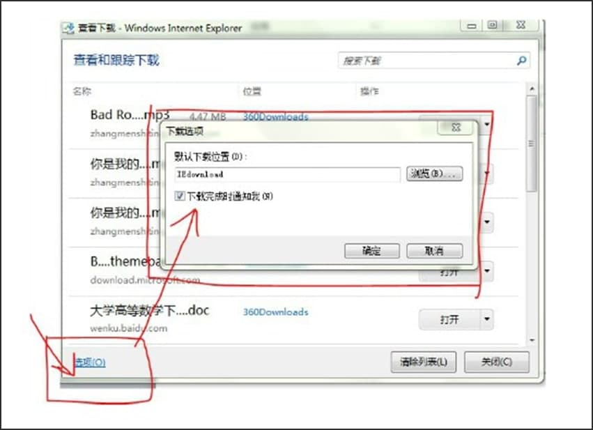 DInternetExplorer9
