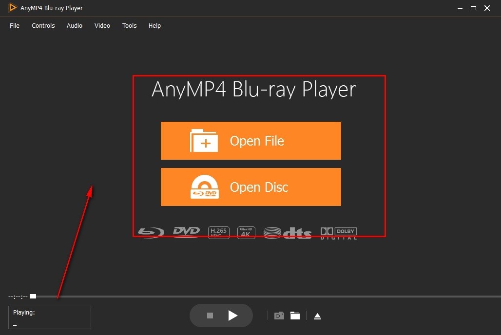 DAnyMP4