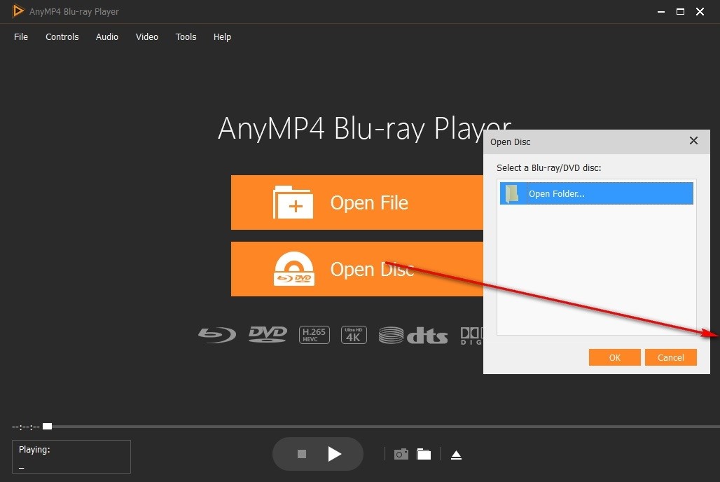 DAnyMP4